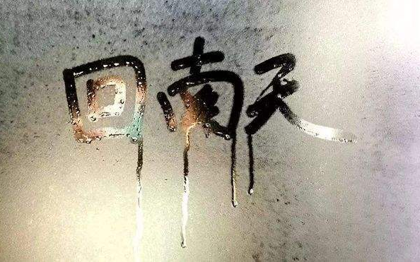 回南天 解决潮湿好帮手除湿机