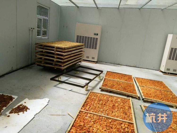 柿饼烘干除湿机