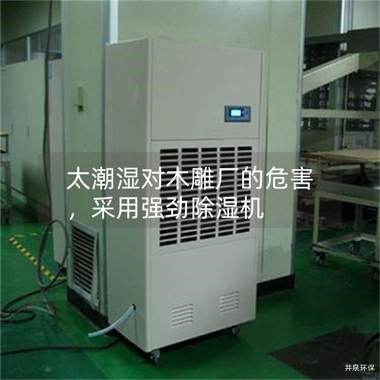 太潮湿对木雕厂的危害，采用强劲除湿机