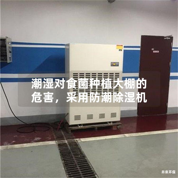 潮湿对食菌种植大棚的危害，采用防潮除湿机