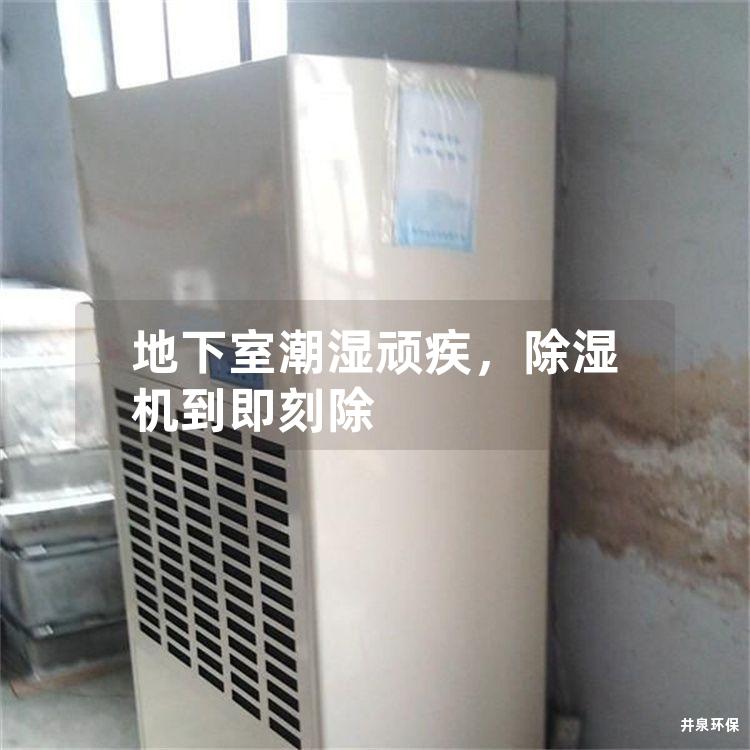 地下室潮湿顽疾，除湿机到即刻除