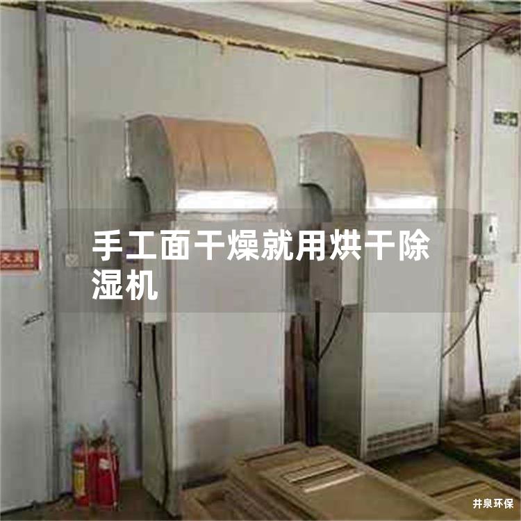 手工面干燥就用烘干除湿机