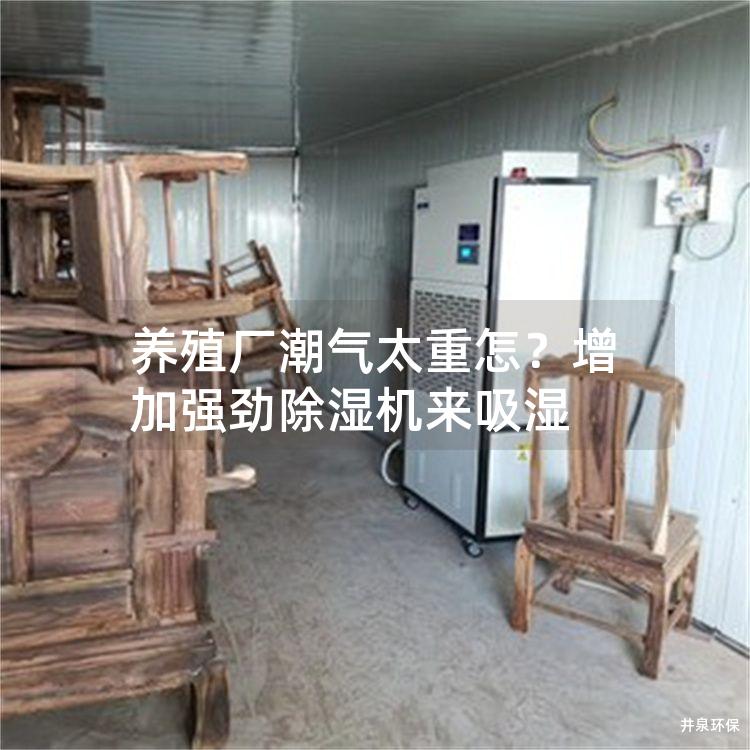 养殖厂潮气太重怎？增加强劲除湿机来吸湿