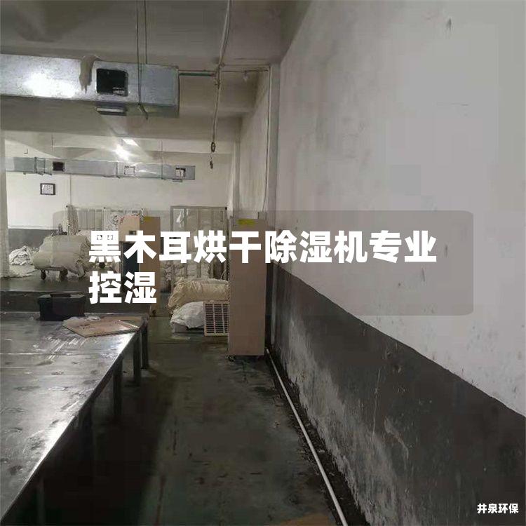 黑木耳烘干除湿机专业控湿