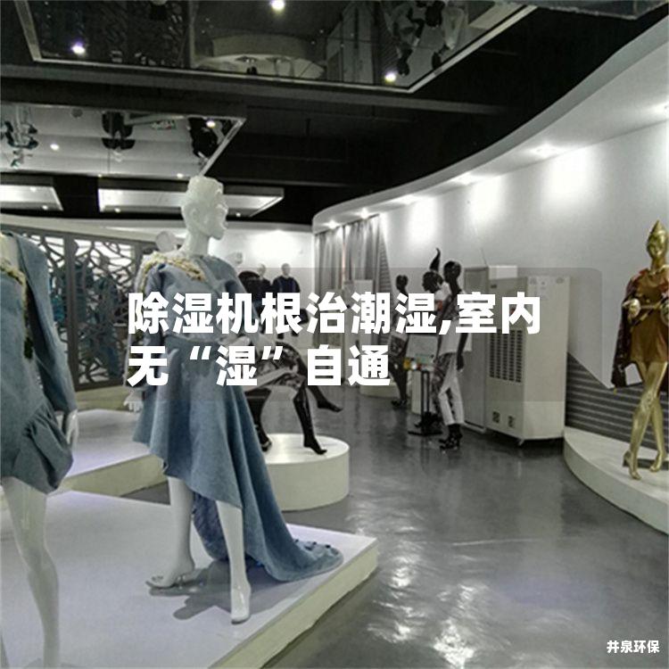 除湿机根治潮湿,室内无“湿”自通