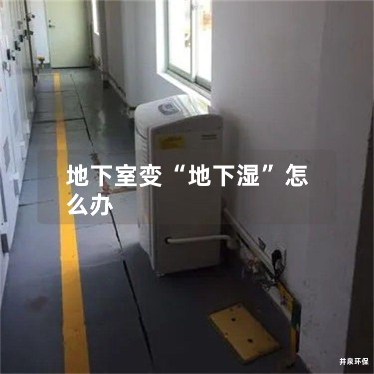地下室变“地下湿”怎么办