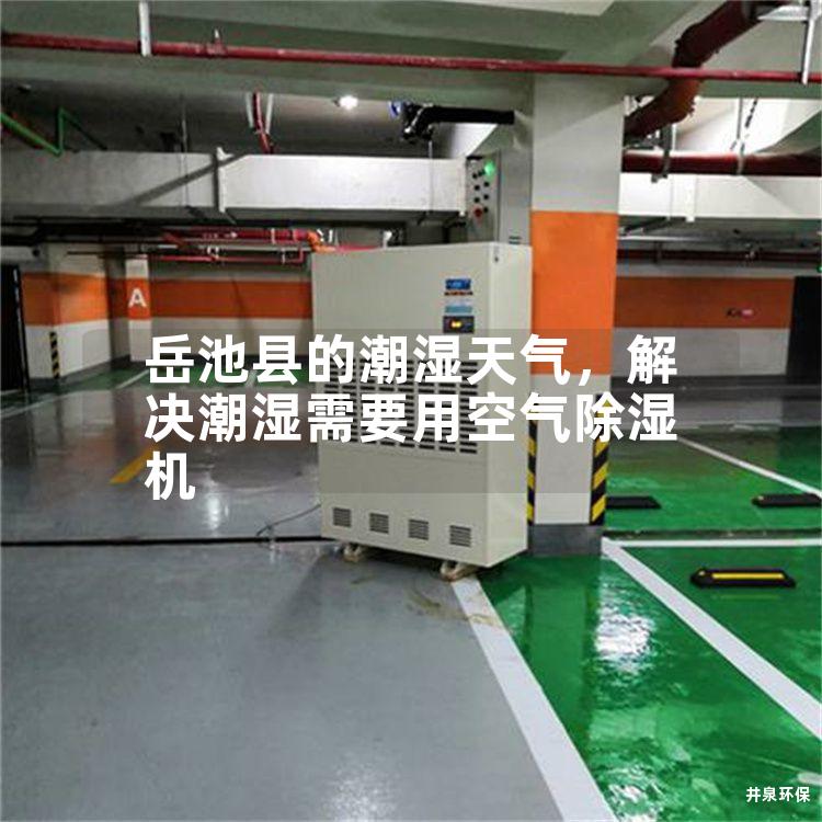岳池县的潮湿天气，解决潮湿需要用空气除湿机
