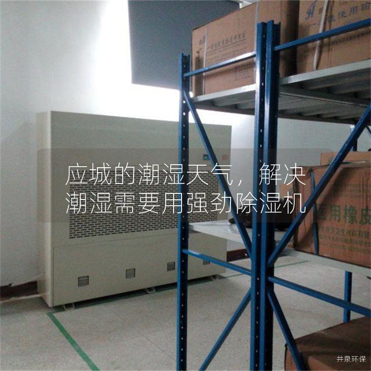 应城的潮湿天气，解决潮湿需要用强劲除湿机