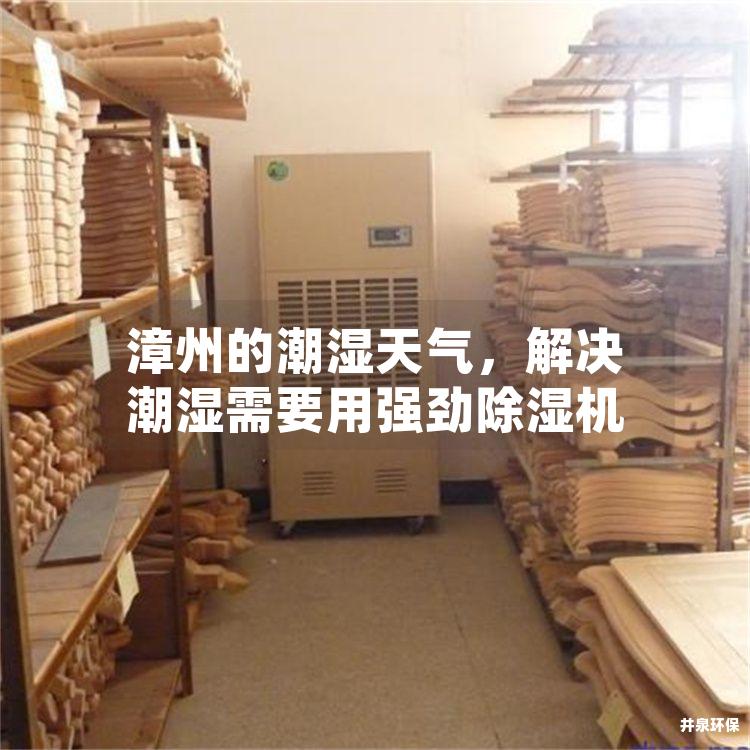 漳州的潮湿天气，解决潮湿需要用强劲除湿机