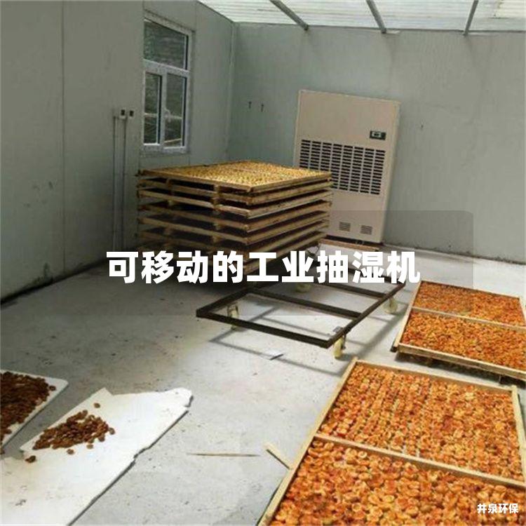 可移动的工业抽湿机