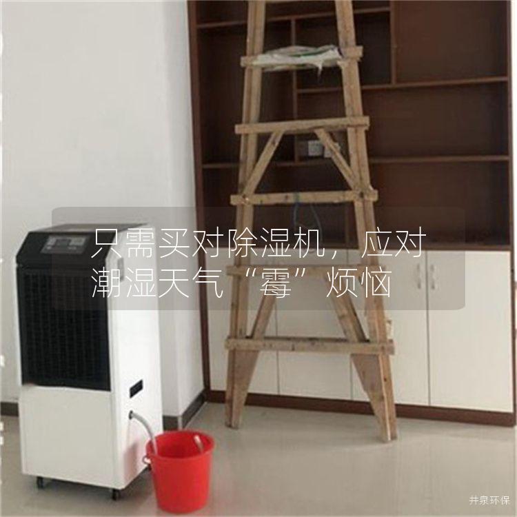 只需买对除湿机，应对潮湿天气“霉”烦恼