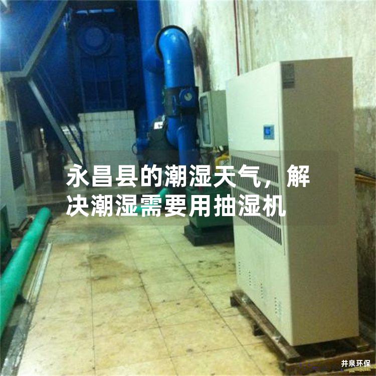 永昌县的潮湿天气，解决潮湿需要用抽湿机