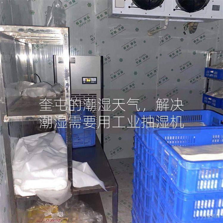 奎屯的潮湿天气，解决潮湿需要用工业抽湿机