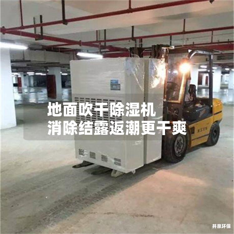 地面吹干除湿机 消除结露返潮更干爽