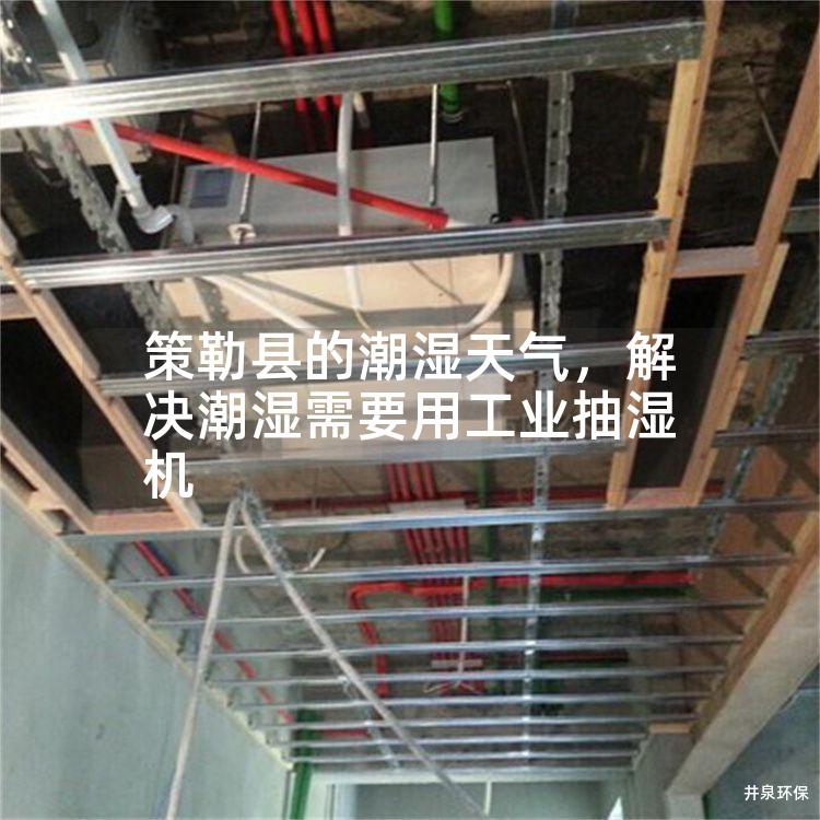 策勒县的潮湿天气，解决潮湿需要用工业抽湿机