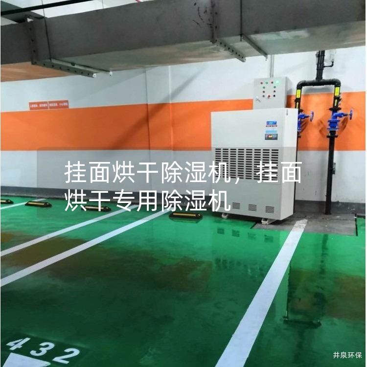 挂面烘干除湿机，挂面烘干专用除湿机