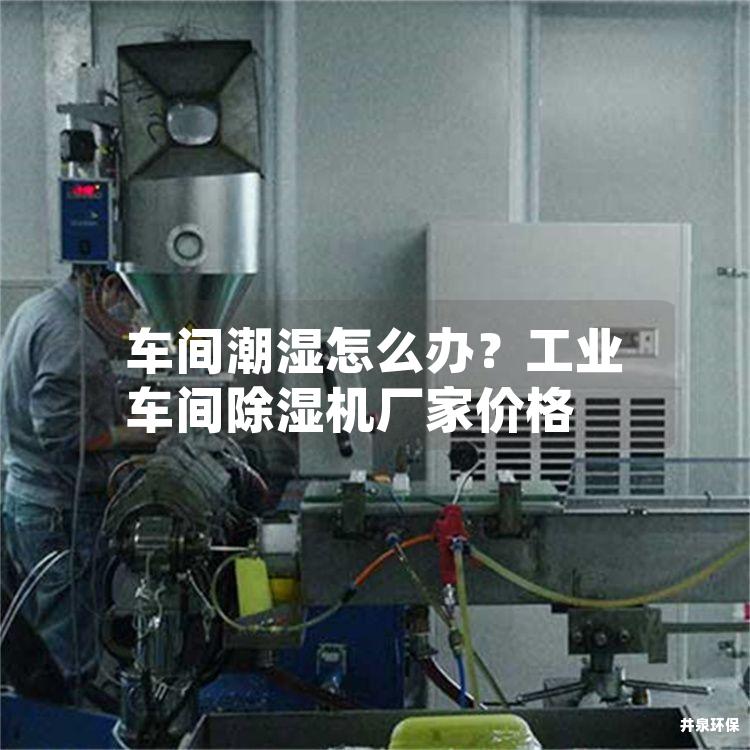车间潮湿怎么办？工业车间除湿机厂家价格