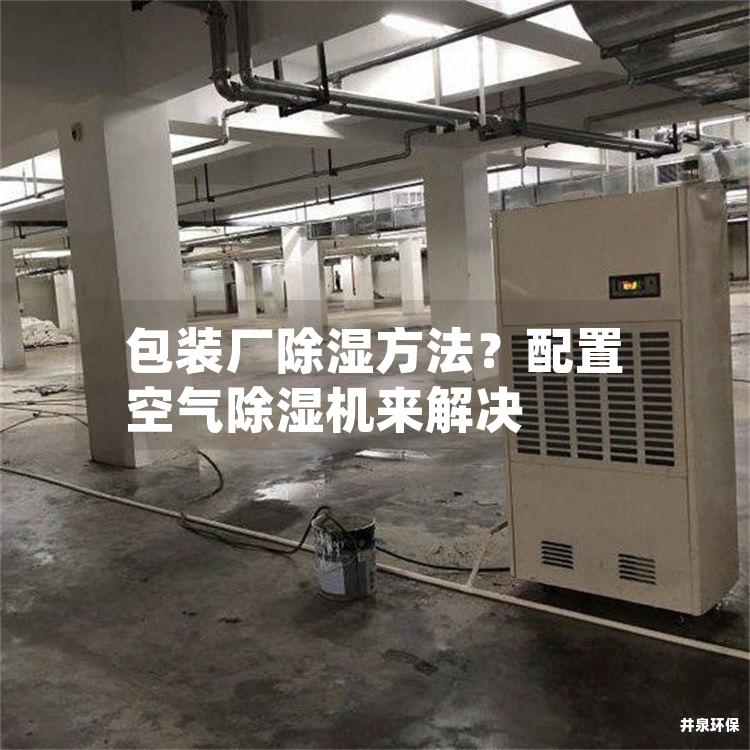 包装厂除湿方法？配置空气除湿机来解决