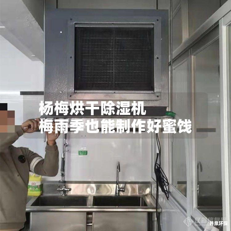 杨梅烘干除湿机 梅雨季也能制作好蜜饯