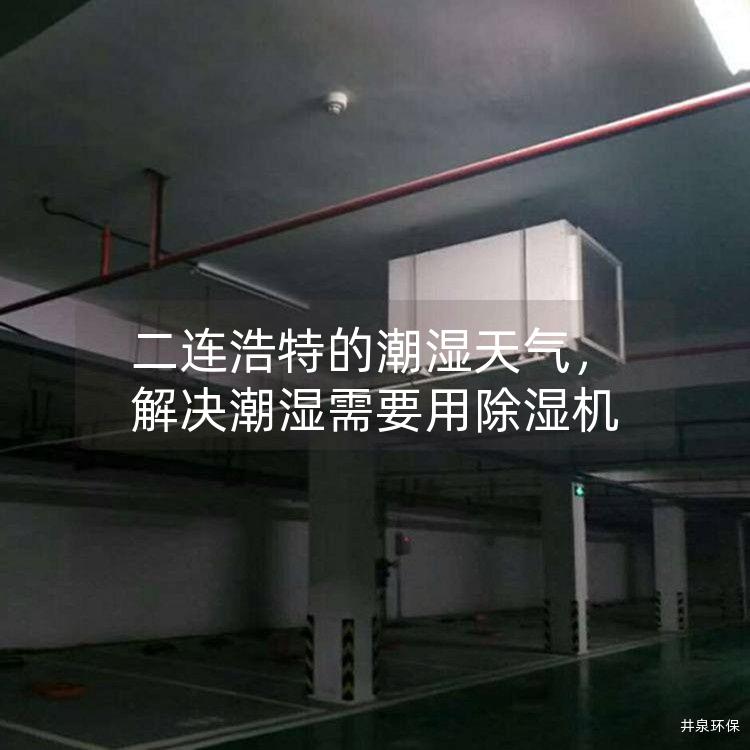 二连浩特的潮湿天气，解决潮湿需要用除湿机