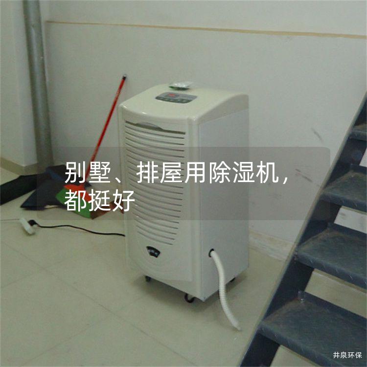别墅、排屋用除湿机，都挺好