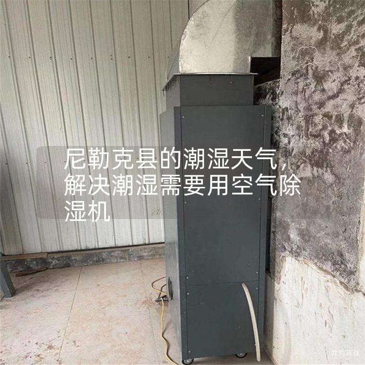 尼勒克县的潮湿天气，解决潮湿需要用空气除湿机