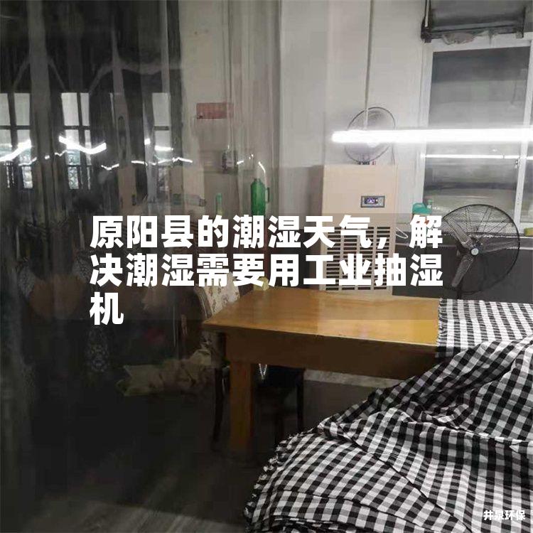 原阳县的潮湿天气，解决潮湿需要用工业抽湿机