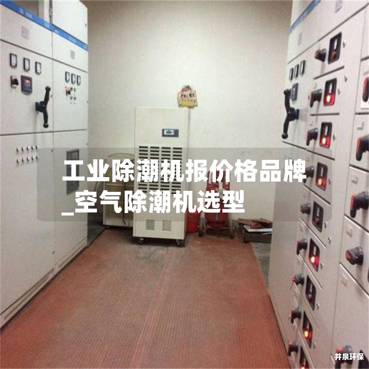 工业除潮机报价格品牌_空气除潮机选型