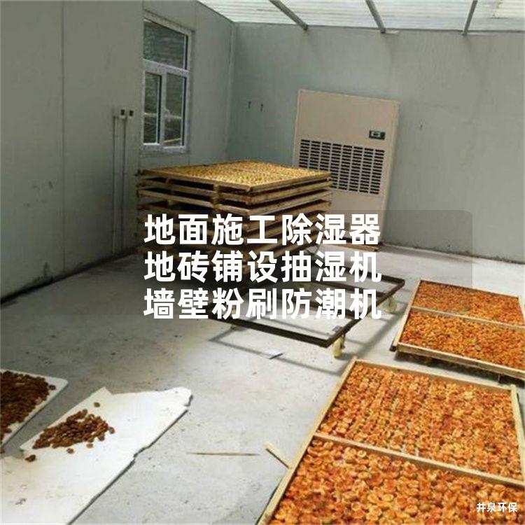 地面施工除湿器 地砖铺设抽湿机 墙壁粉刷防潮机