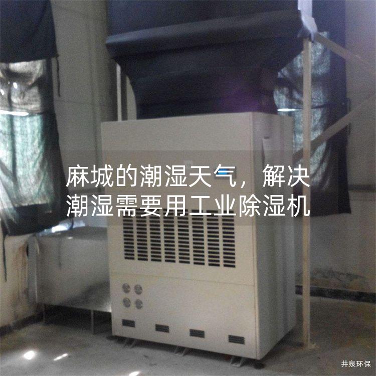 麻城的潮湿天气，解决潮湿需要用工业除湿机