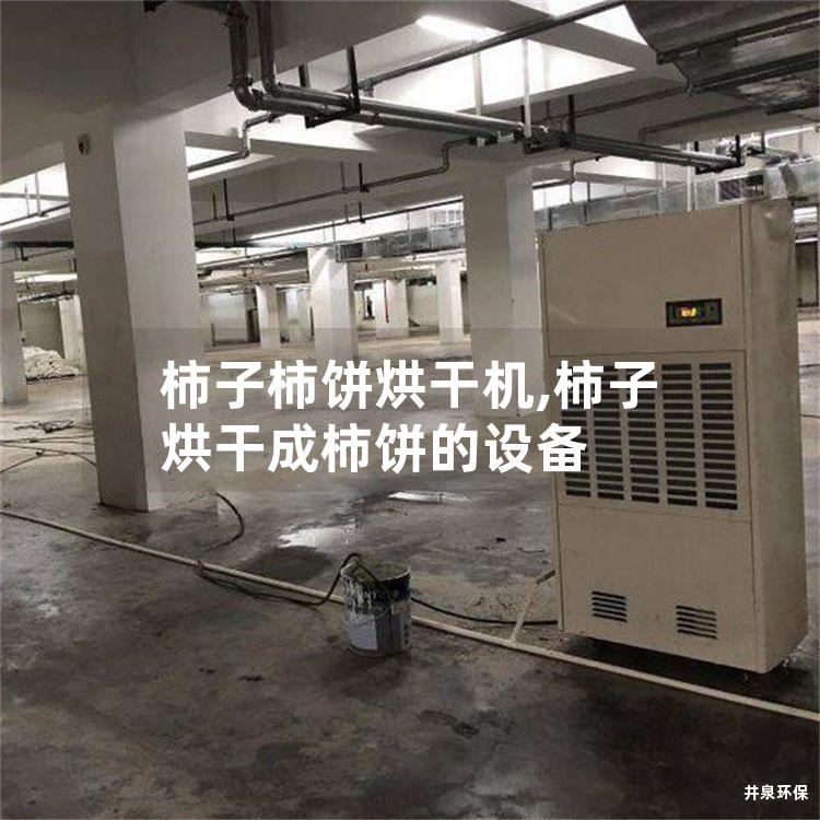 柿子柿饼烘干机,柿子烘干成柿饼的设备