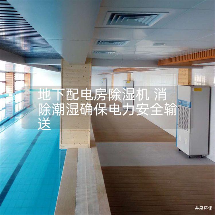 地下配电房除湿机 消除潮湿确保电力安全输送