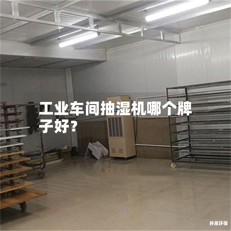 工业车间抽湿机哪个牌子好？