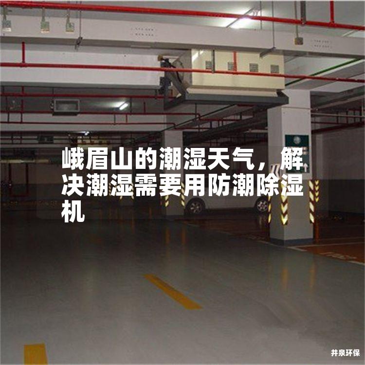 峨眉山的潮湿天气，解决潮湿需要用防潮除湿机