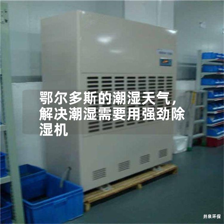 鄂尔多斯的潮湿天气，解决潮湿需要用强劲除湿机