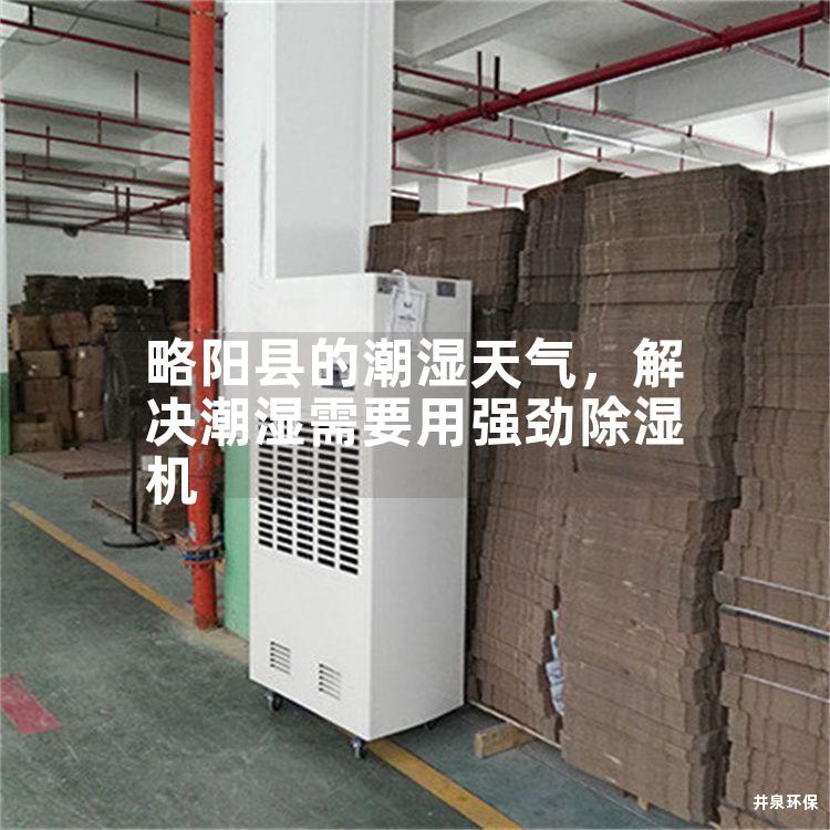 略阳县的潮湿天气，解决潮湿需要用强劲除湿机