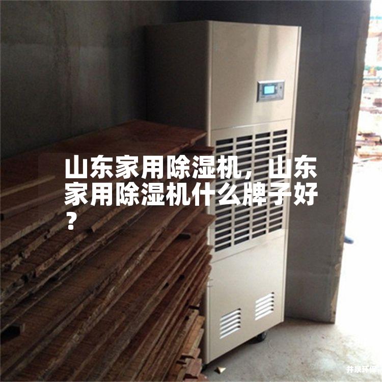 山东家用除湿机，山东家用除湿机什么牌子好？