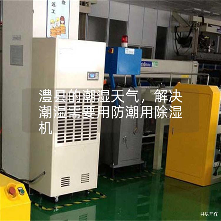 澧县的潮湿天气，解决潮湿需要用防潮用除湿机