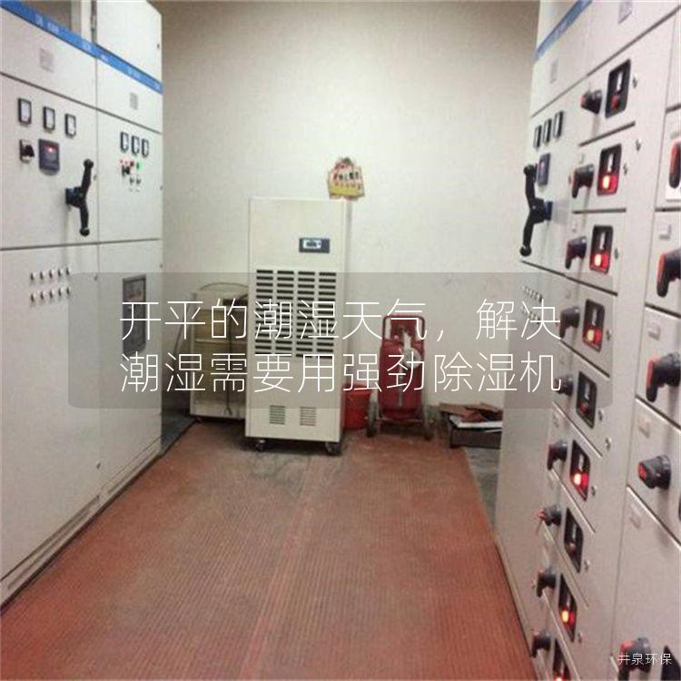 开平的潮湿天气，解决潮湿需要用强劲除湿机