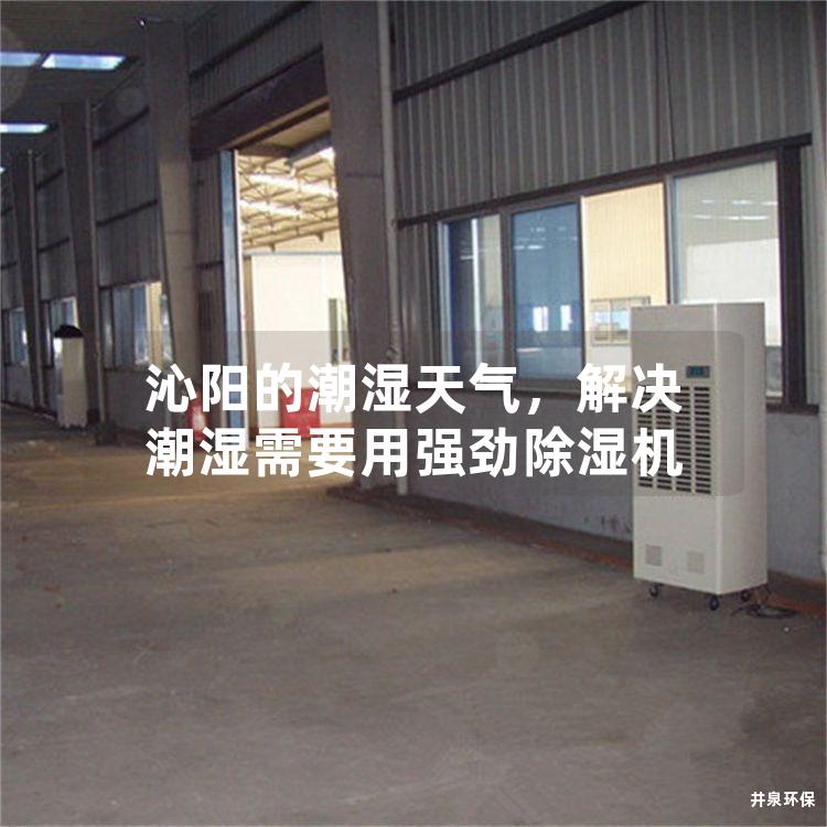 沁阳的潮湿天气，解决潮湿需要用强劲除湿机
