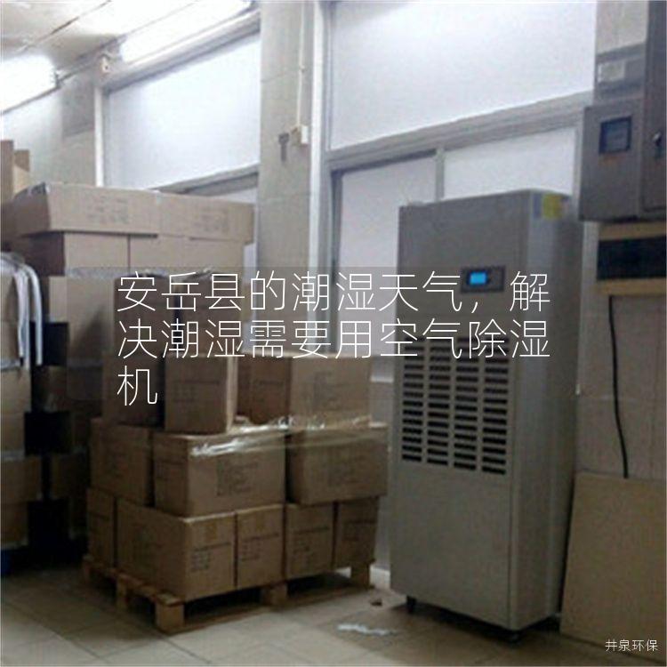 安岳县的潮湿天气，解决潮湿需要用空气除湿机