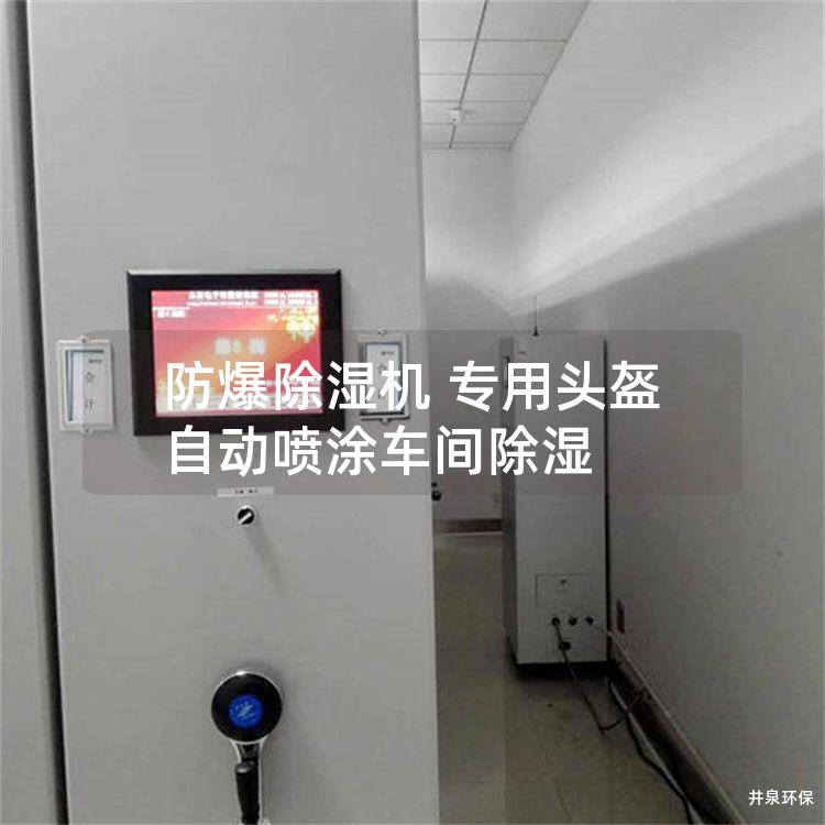 防爆除湿机 专用头盔自动喷涂车间除湿