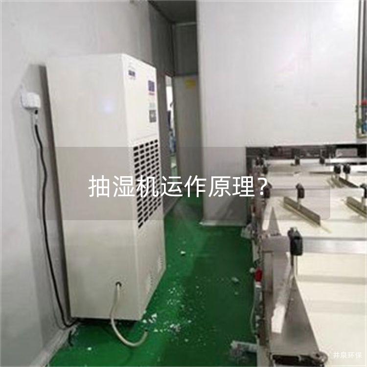 抽湿机运作原理？