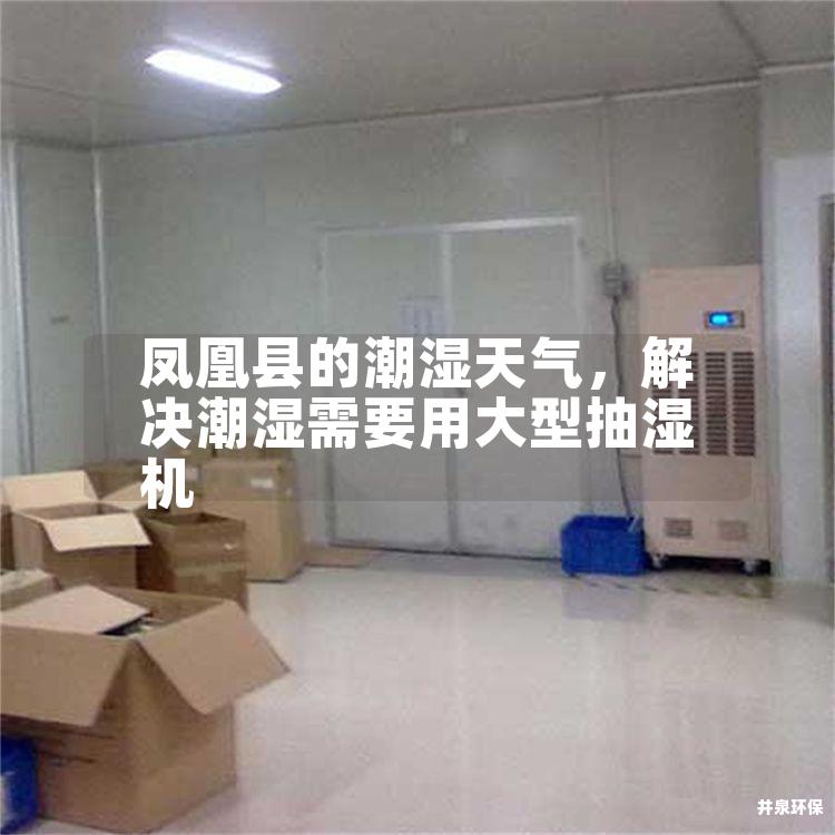 凤凰县的潮湿天气，解决潮湿需要用大型抽湿机