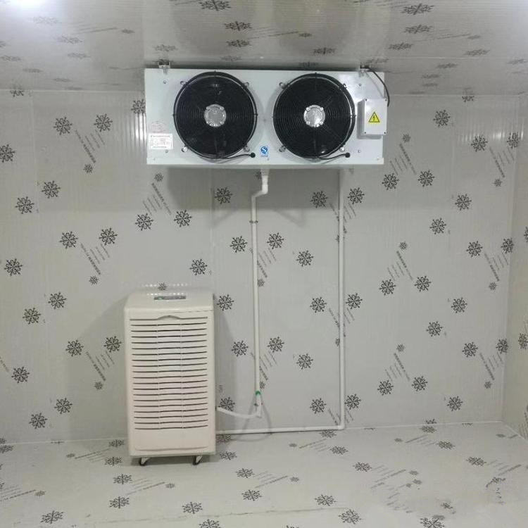 桃城区雨季如何解决潮湿？加装抽湿器