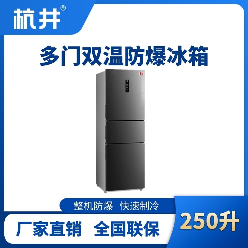 BL-300(DM250L) 250升三开门防爆冰箱