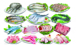 鲜鱼类烘晒制成鱼干必不可少的烘干设备，耐高