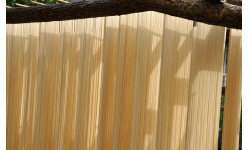 如何在更短的时间烘干挂面又不影响挂面的口感