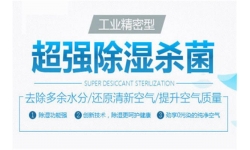 广州工业除湿机，抽湿机厂家