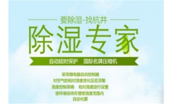 除湿机的品牌选择问题